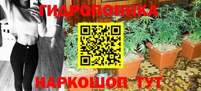 прущая мука Сланцы