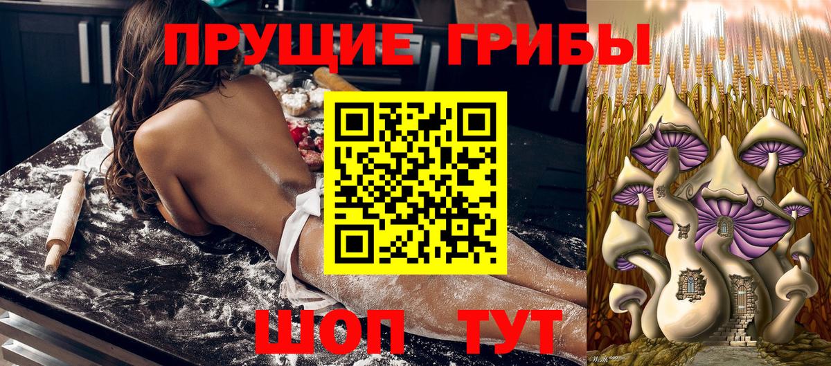 Галлюциногенные грибы мицелий  Галлюциногенные грибы прущие грибы  Вход с VPN  Холмск 